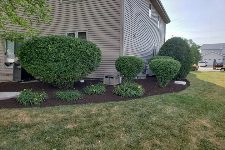 Trusted lawn care service for homes across Peotone, IL - Nature's Turf