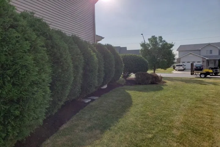 Custom yard cleanup service experts serving Peotone, IL - Nature's Turf