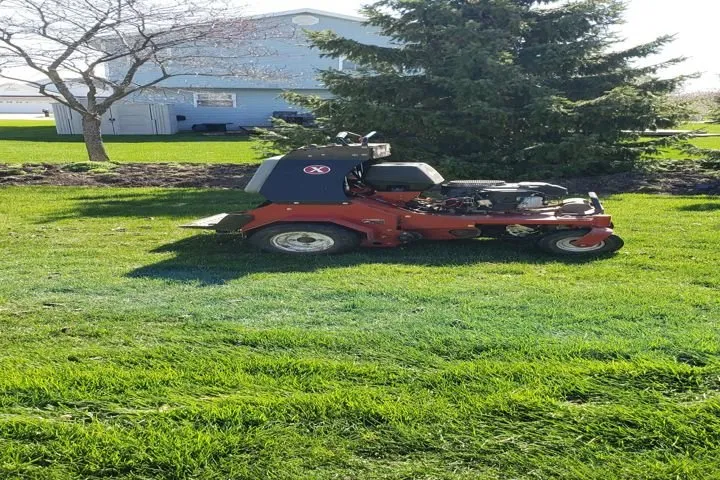 Custom yard cleanup service in Peotone, IL by Nature's Turf