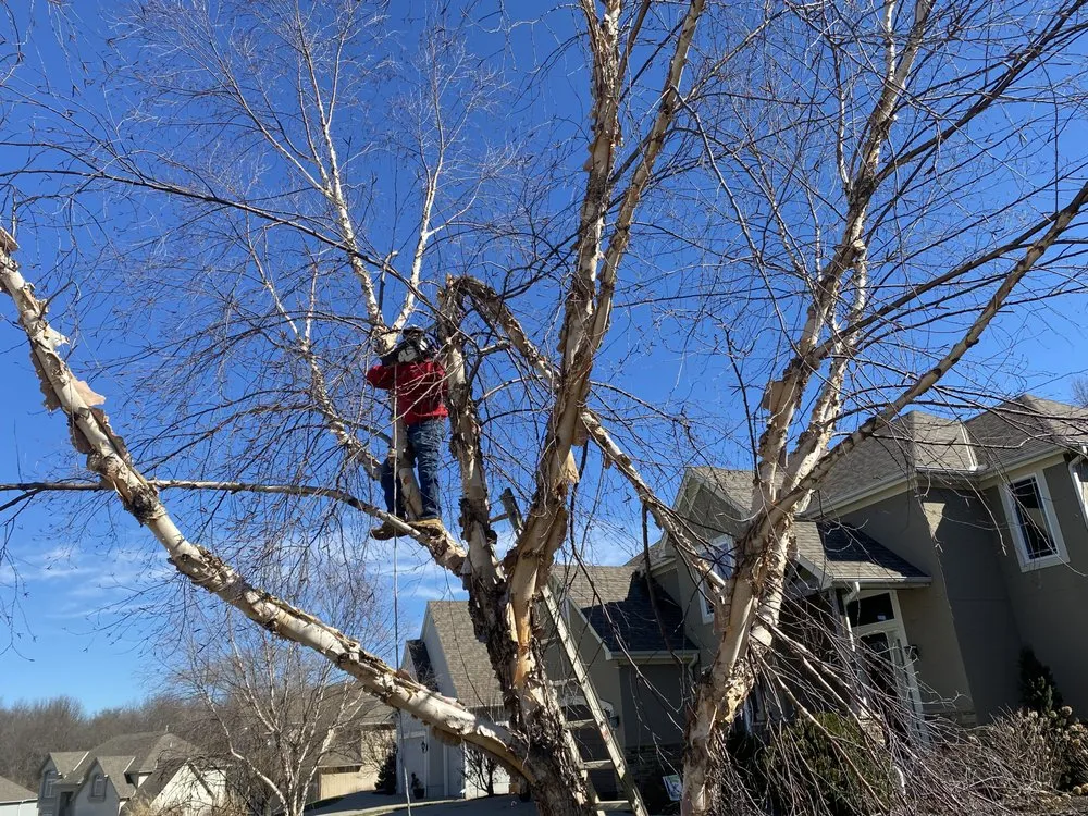 Custom lawn mowing service experts serving Kansas City, MO - Natures View