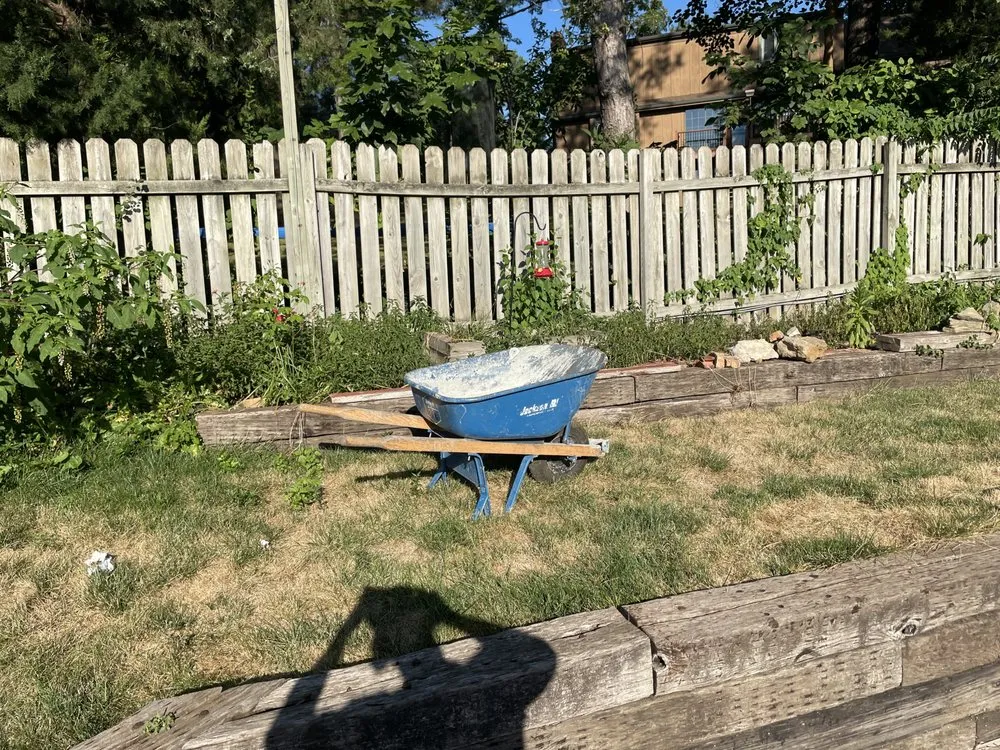 Top-rated yard cleanup service in Kansas City, MO - Natures View