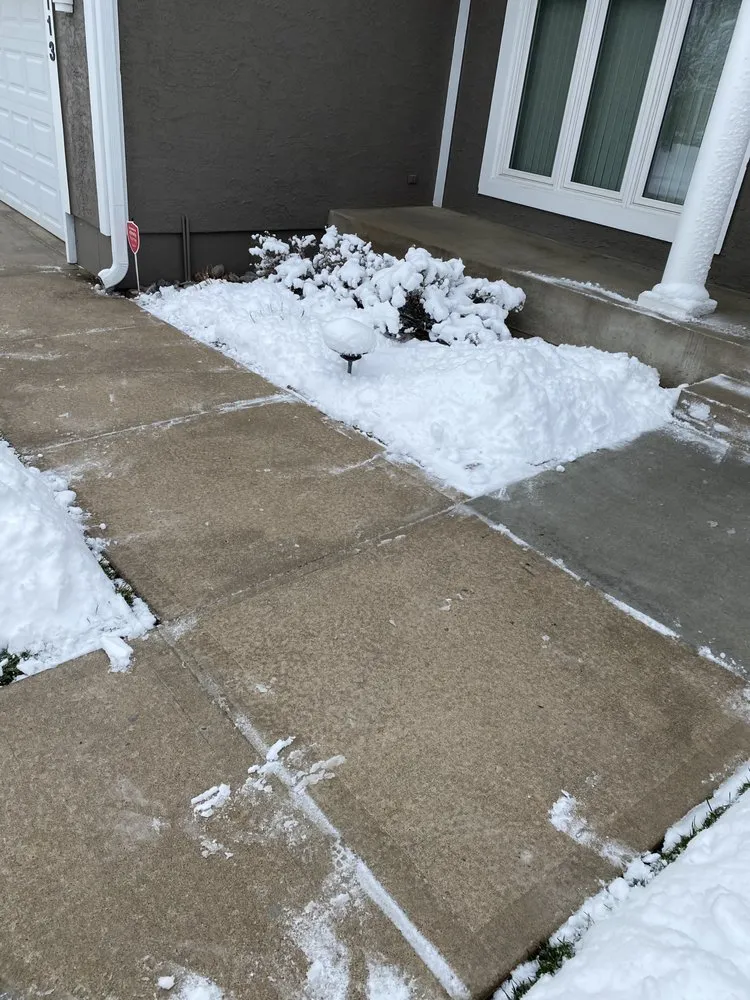 Trusted yard cleanup service experts serving Kansas City, MO - Natures View