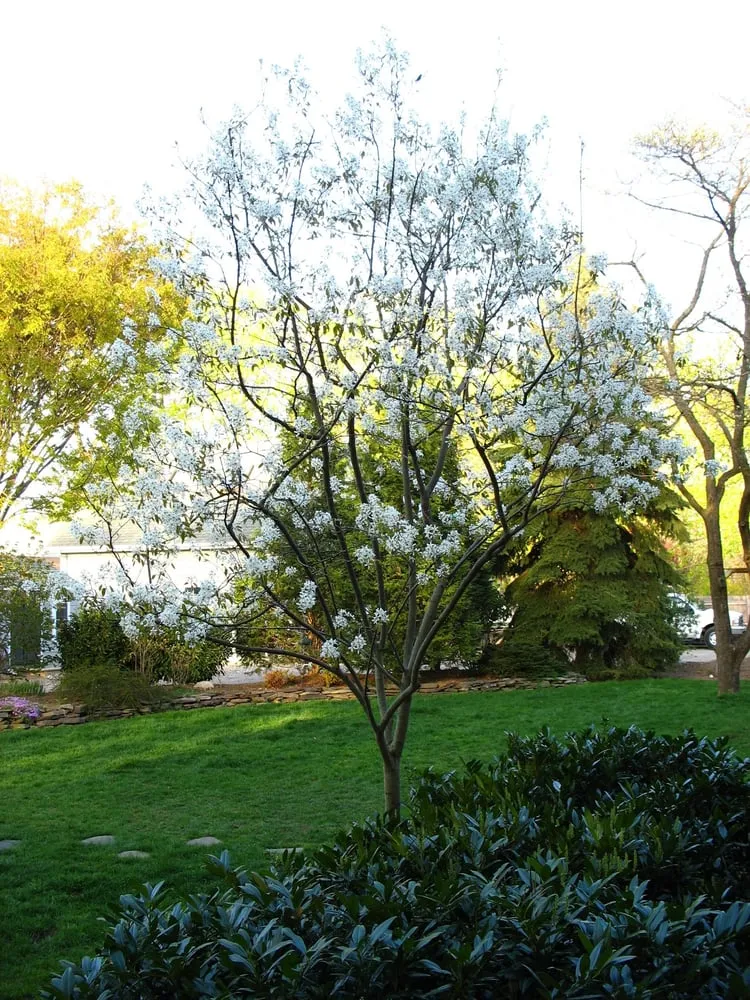 Affordable outdoor landscaping in Kings Park, NY - Nature's Way Horticultural Services Inc