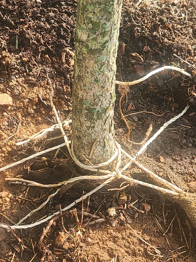 Local landscape installation for beautiful yards in Laurinburg, NC by Nature's Way Landscaping