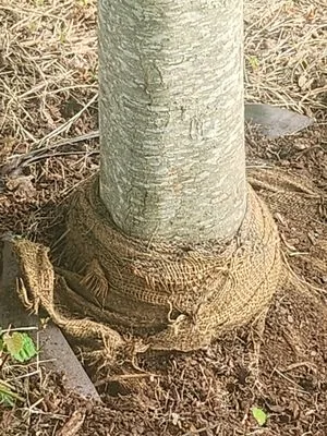 Nature's Way Landscaping