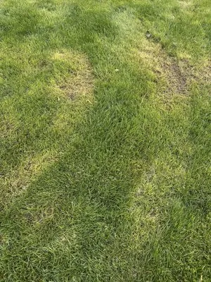 Natures Way Landscaping Logo