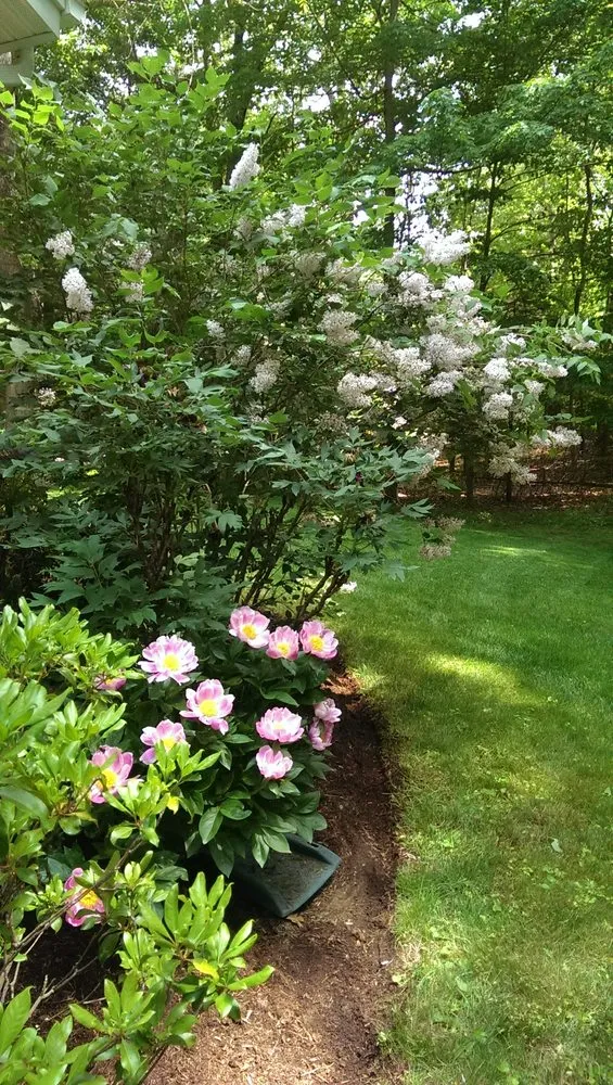 Professional residential landscaping in Andover, CT - Naturescape