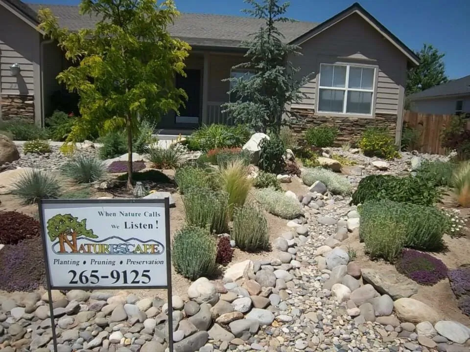 Top-rated landscaping services in Gardnerville, NV - Naturescape