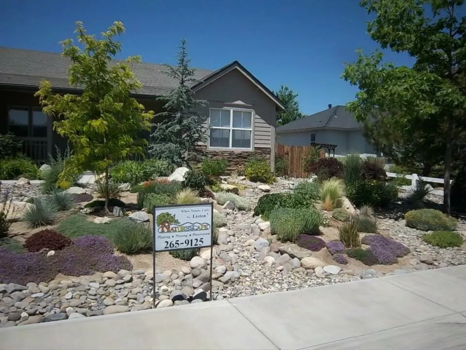 Professional yard cleanup service in Gardnerville, NV - Naturescape