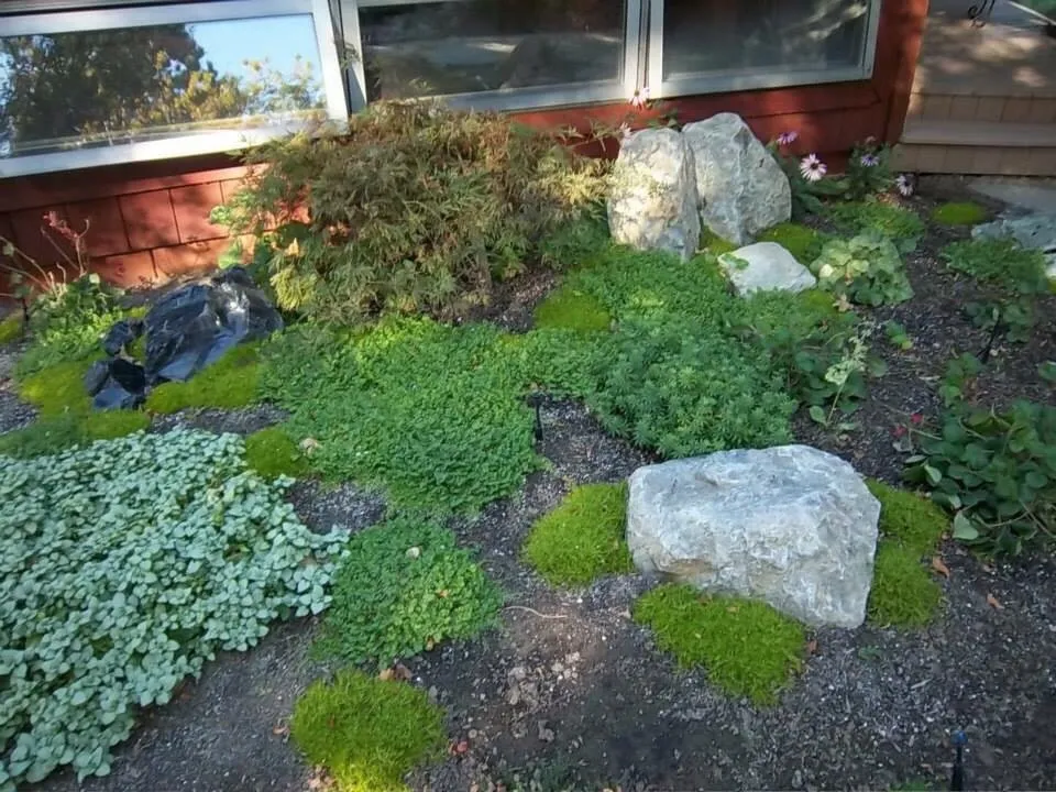 Custom yard cleanup service near you in Gardnerville, NV by Naturescape