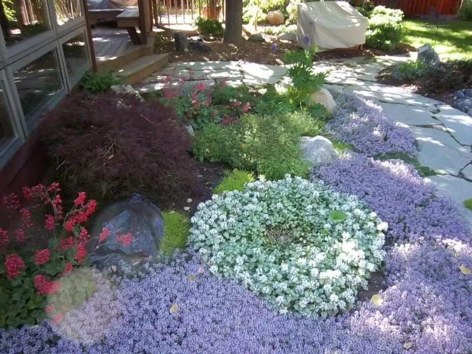 Expert landscape design in Gardnerville, NV - Naturescape
