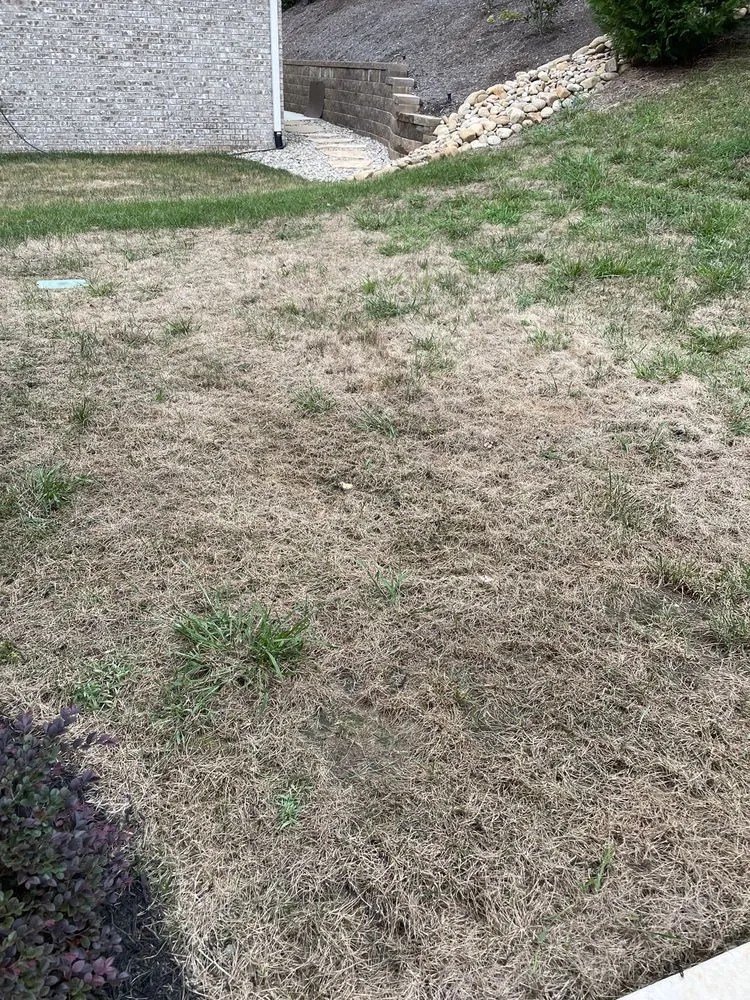 Expert yard maintenance for outdoor upgrades across Knoxville, TN - Naturescape