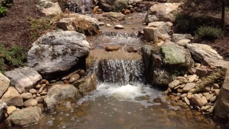 Top-rated yard maintenance for beautiful yards across Talbott, TN - Naturescape Landscape & Irrigation LLC
