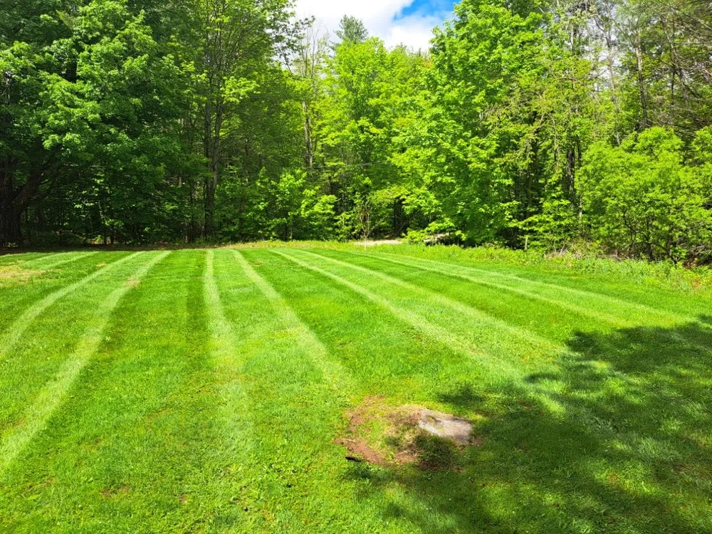 Affordable lawn care service in Greenwood, ME by Naturescape Landscaping