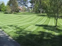 Custom garden landscaping for year-round maintenance across Greenwood, ME - Naturescape Landscaping