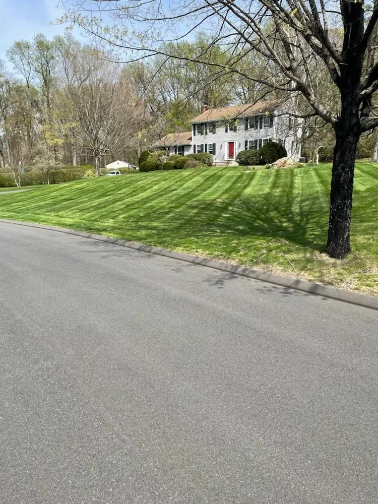 Expert yard cleanup service experts serving Greenwood, ME - Naturescape Landscaping