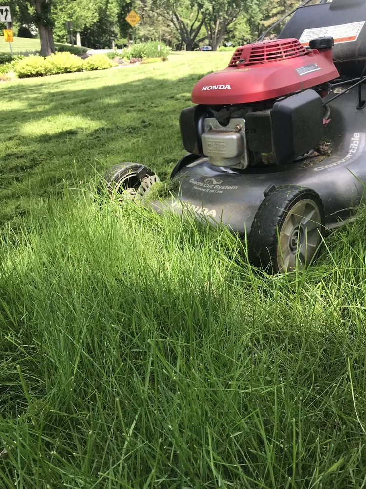 Expert yard maintenance for beautiful yards across Minneapolis, MN - Naturescape Lawn and Landscape Care