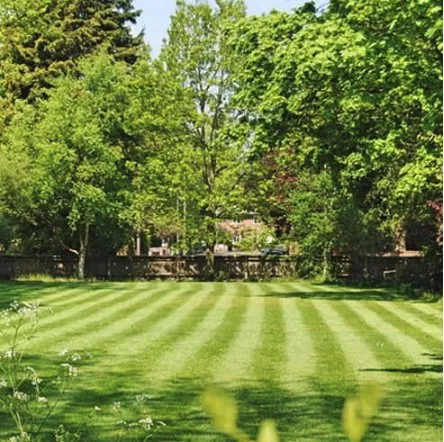 Local landscaping services experts serving Albany, OH - Naturescape Lawn Maintenance