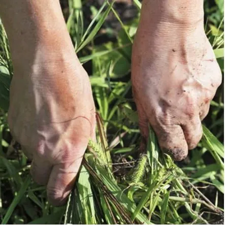 Professional landscape design experts serving Albany, OH - Naturescape Lawn Maintenance