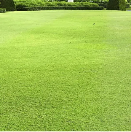Trusted landscaping services in Albany, OH - Naturescape Lawn Maintenance