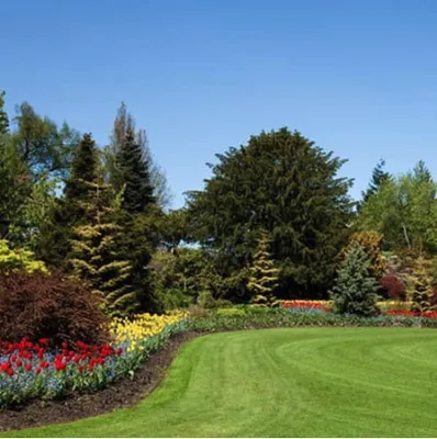 Naturescape Lawn Maintenance