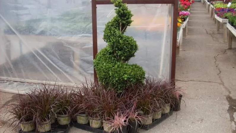 Custom landscape installation experts serving Lawton, OK - Naturescape