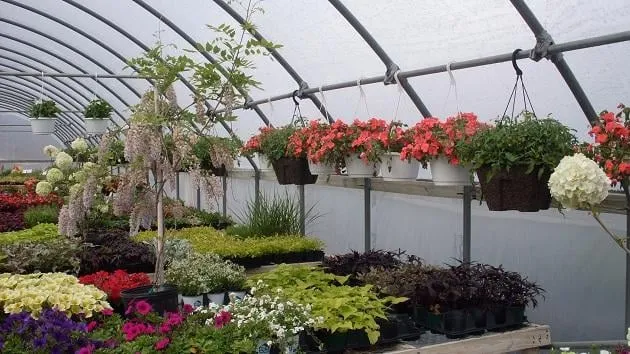 Top-rated garden landscaping near you across Lawton, OK - Naturescape