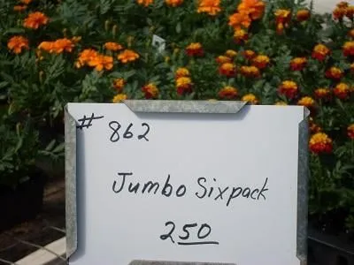 Expert lawn mowing service in Lawton, OK by Naturescape