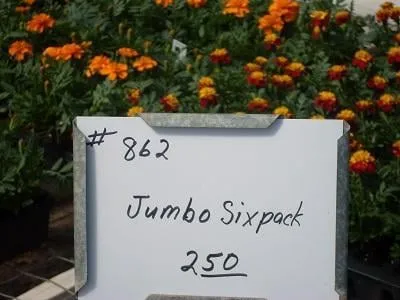 Custom landscape installation for residential properties in Lawton, OK by Naturescape