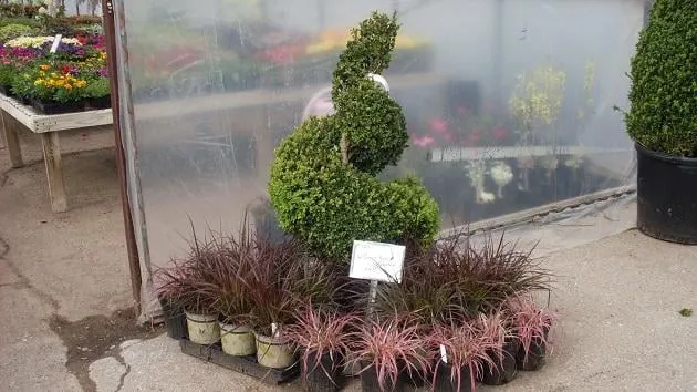 Reliable garden landscaping in Lawton, OK - Naturescape