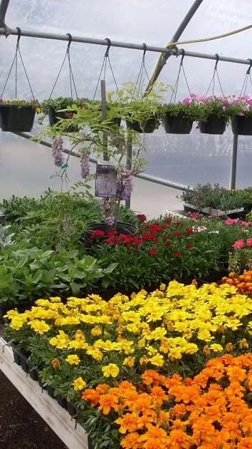 Local garden landscaping in Lawton, OK - Naturescape