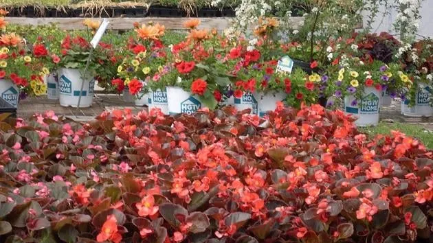 Trusted landscaping services in Lawton, OK by Naturescape