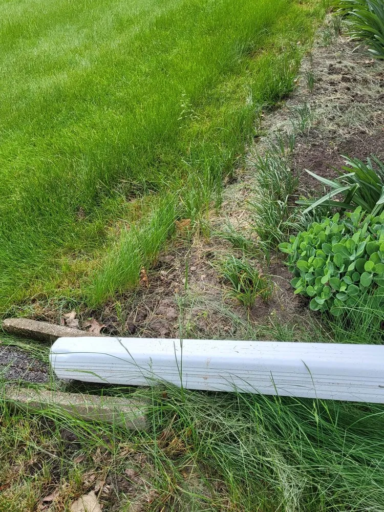 Affordable lawn care service experts serving McFarland, WI - Naturescape