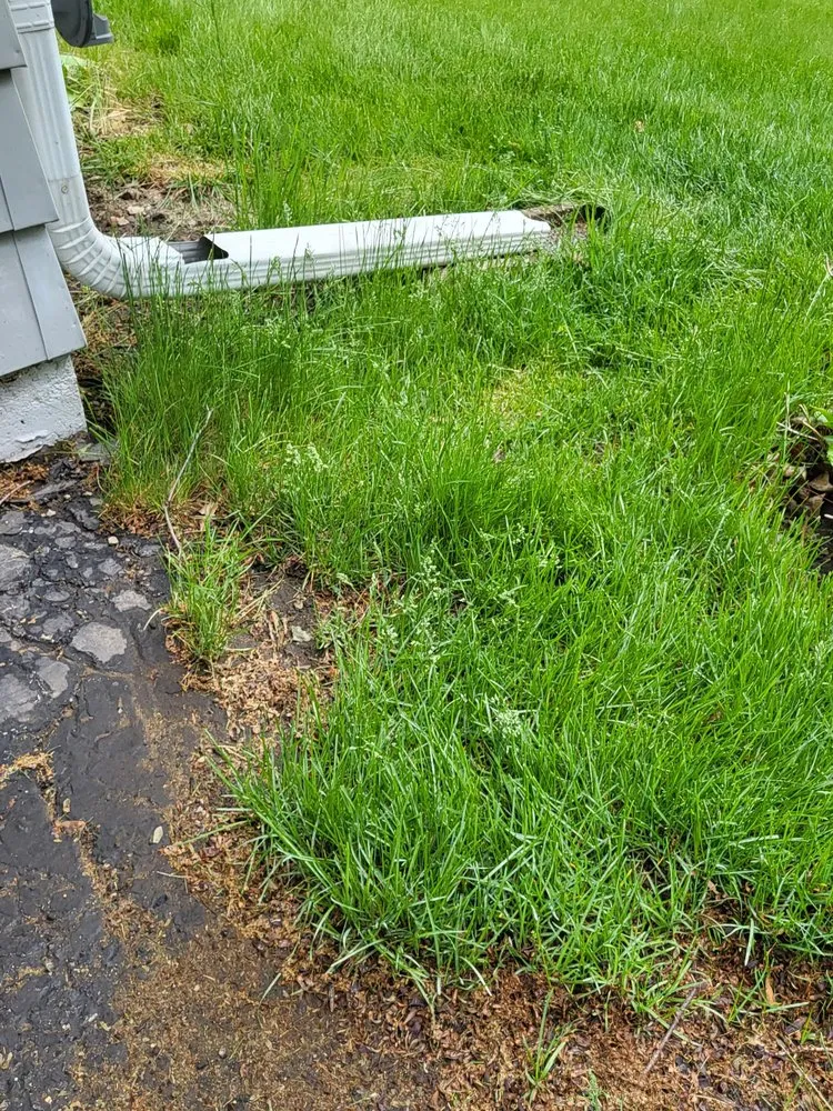 Affordable lawn mowing service in McFarland, WI by Naturescape