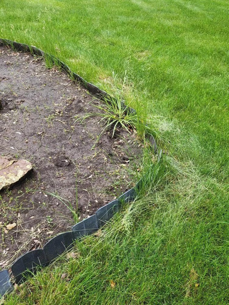 Top-rated yard cleanup service in McFarland, WI by Naturescape