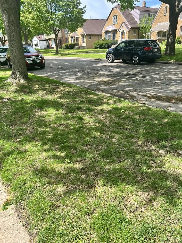 Custom landscape design in Menomonee Falls, WI - Naturescape