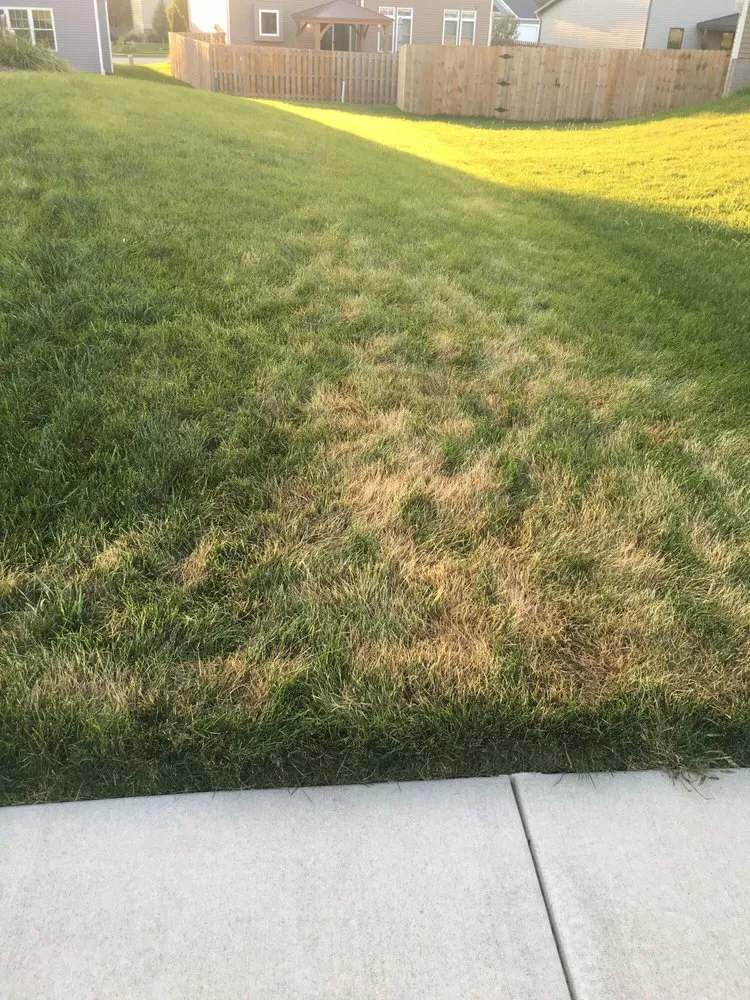 Custom lawn mowing service near you across Morton, IL - Naturescape