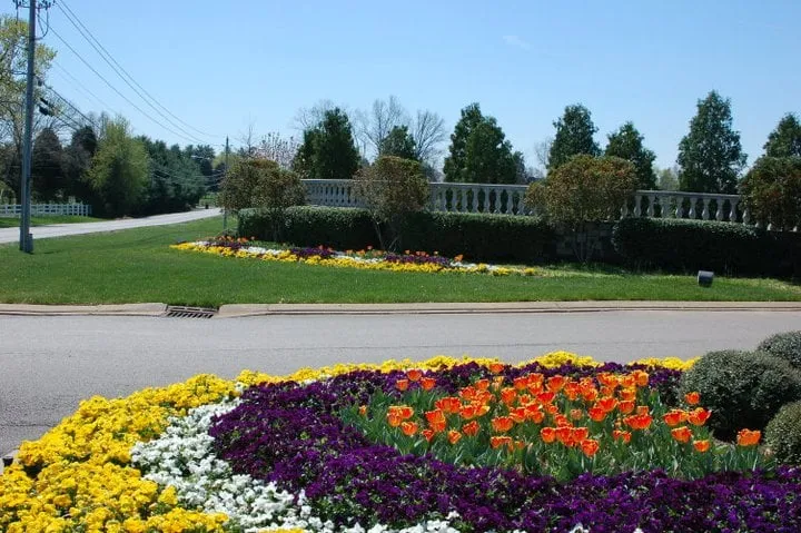 Expert yard maintenance near you in Murfreesboro, TN by NaturEscape