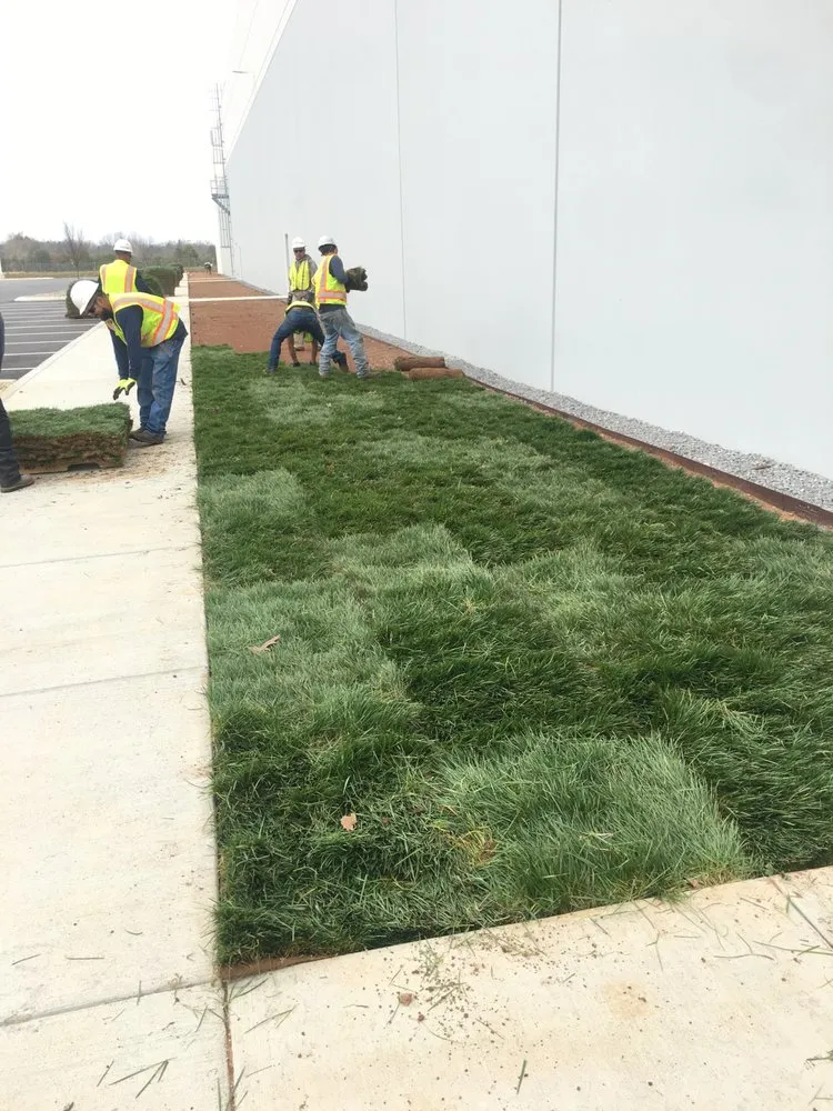 Custom residential landscaping for homes across Murfreesboro, TN - NaturEscape