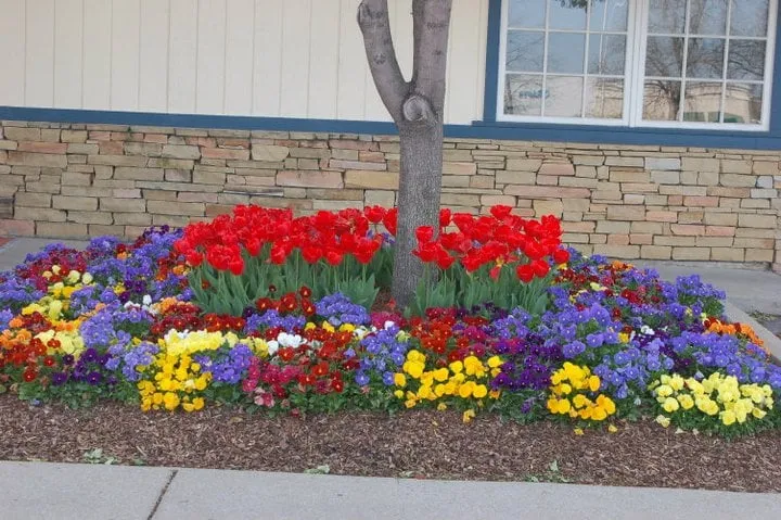 Professional yard cleanup service for year-round maintenance in Murfreesboro, TN by NaturEscape