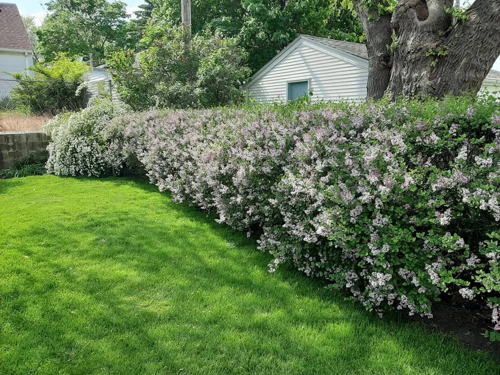 Affordable landscaping services with custom design across Muskego, WI - Naturescape