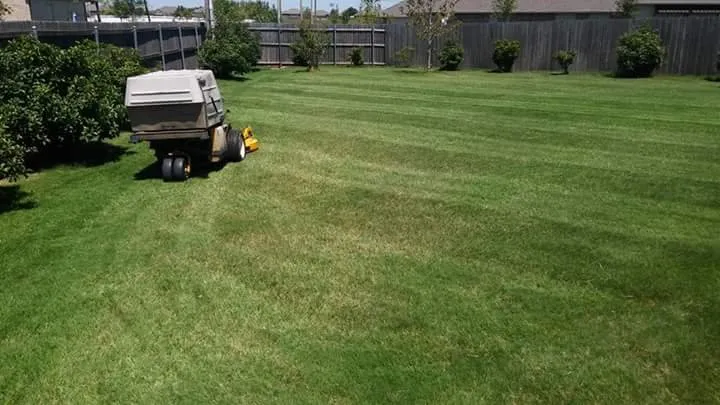 Custom residential landscaping in Oklahoma City, OK by Naturescape