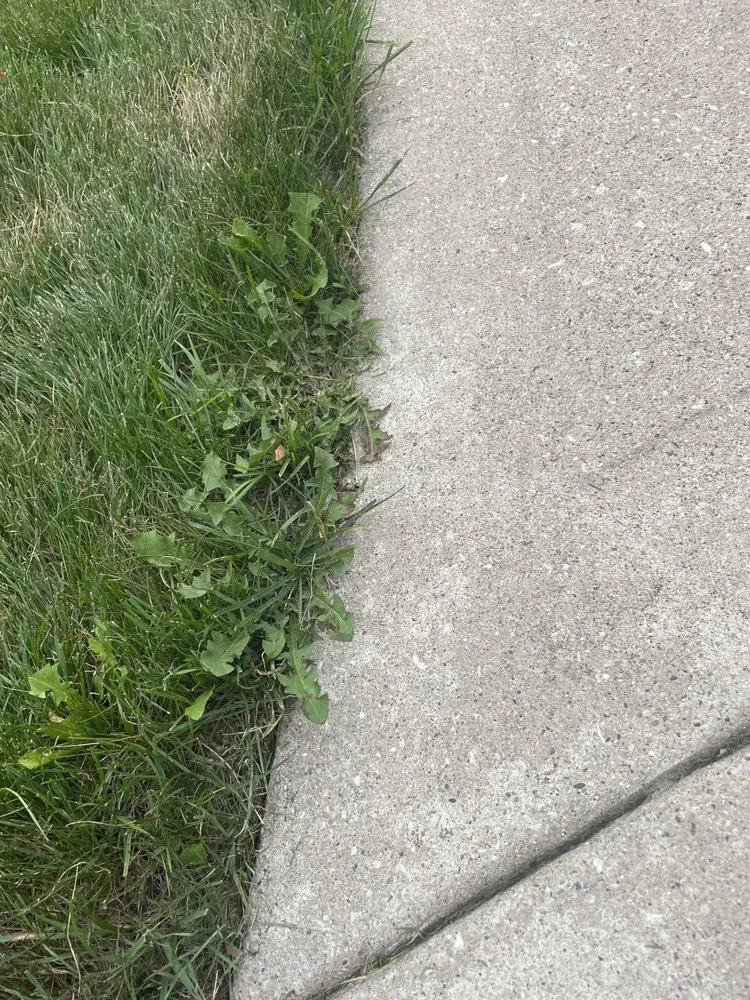 Top-rated landscape installation in Rockford, IL - Naturescape