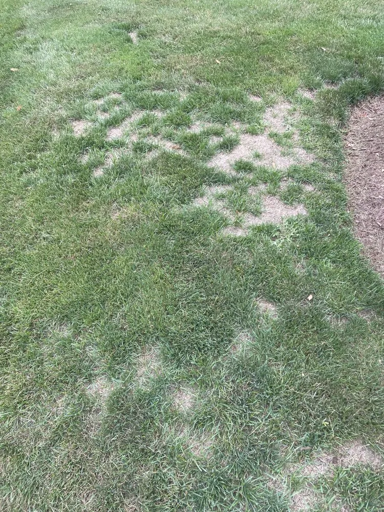 Affordable landscaping services near you in Rockford, IL by Naturescape