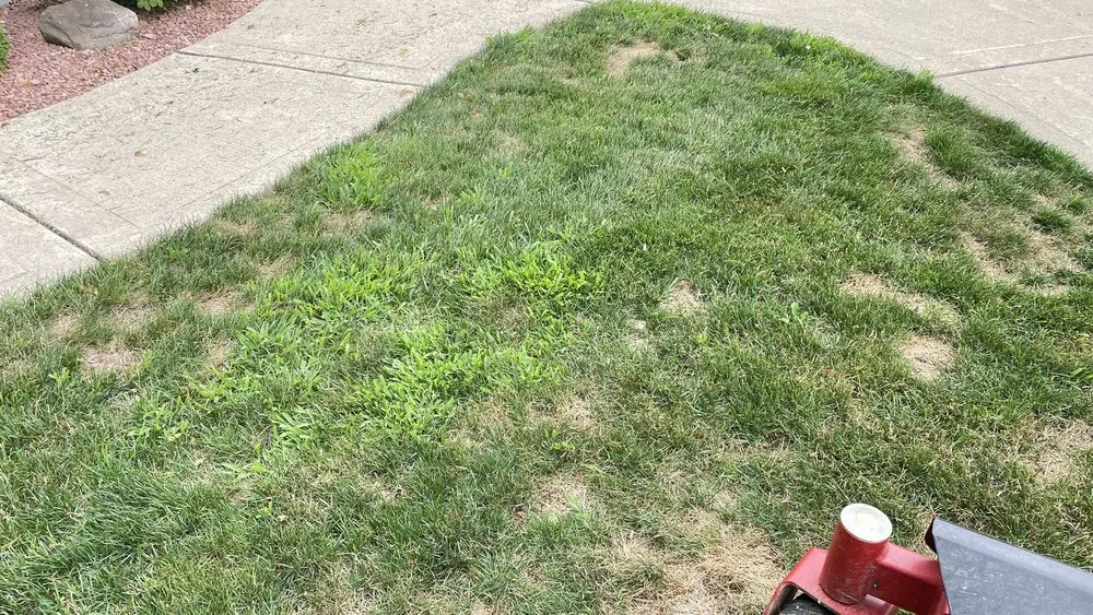 Top-rated outdoor landscaping with custom design across Rockford, IL - Naturescape