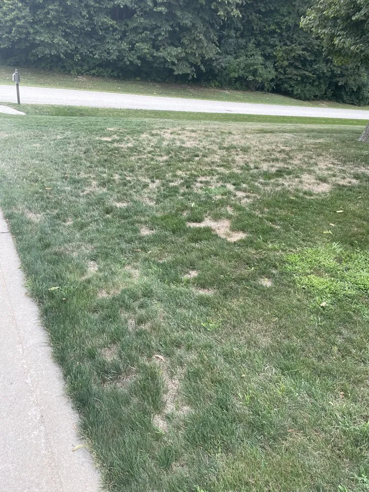 Expert landscaping services near you across Rockford, IL - Naturescape