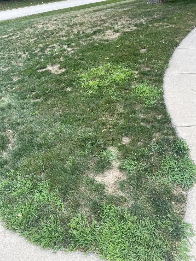 Professional lawn mowing service experts serving Rockford, IL - Naturescape