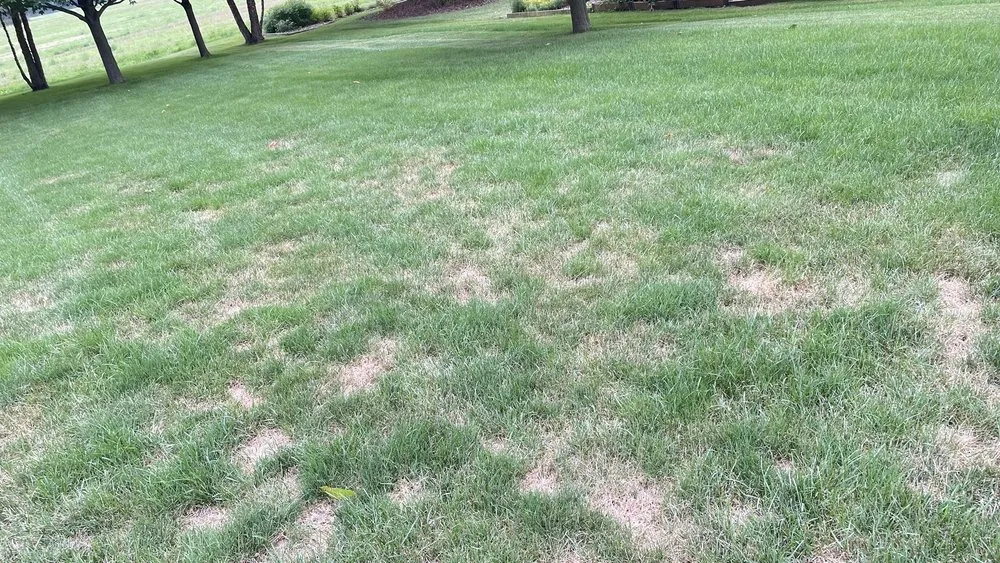 Affordable landscaping services for year-round maintenance across Rockford, IL - Naturescape