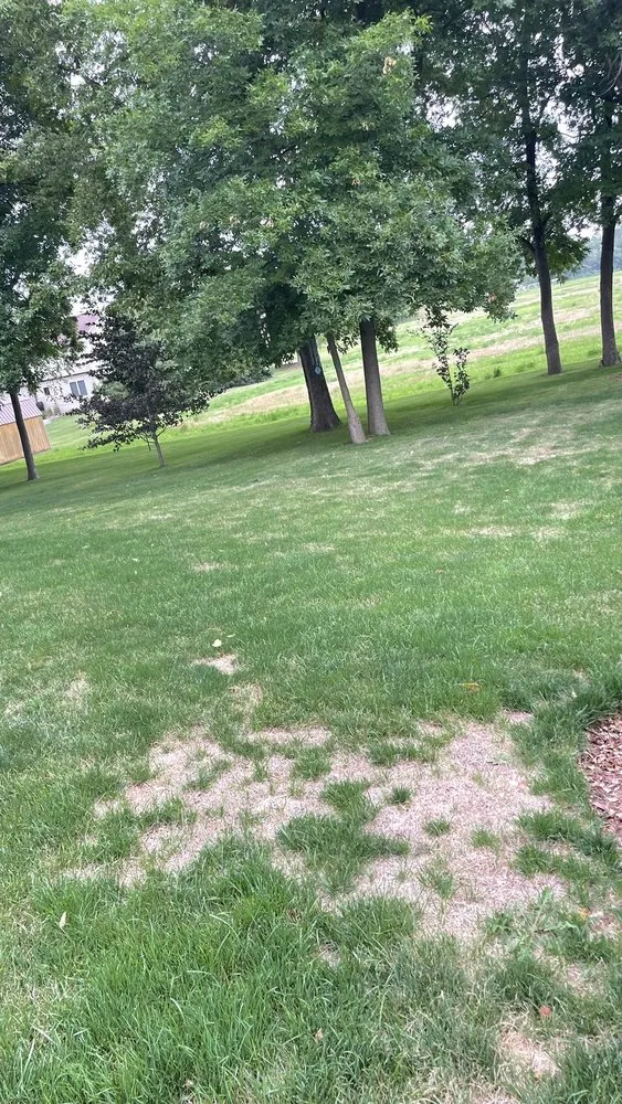 Custom garden landscaping in Rockford, IL - Naturescape