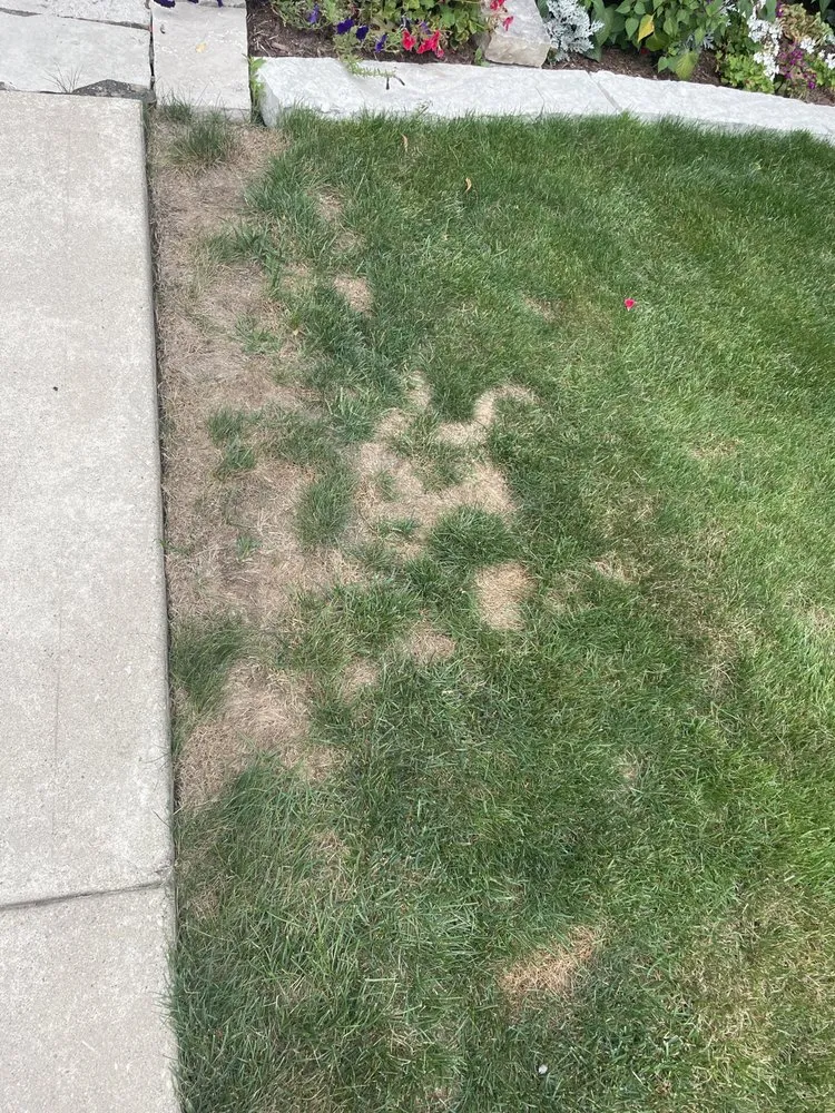 Local outdoor landscaping with custom design across Rockford, IL - Naturescape